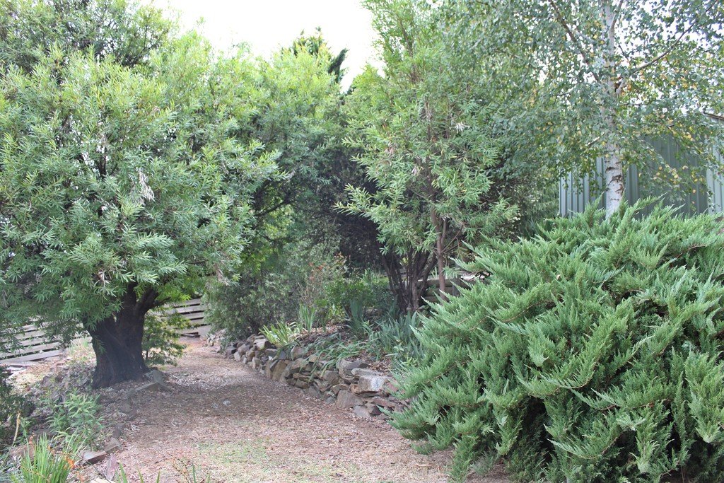 79 Gilbert Street TUMBARUMBA 16