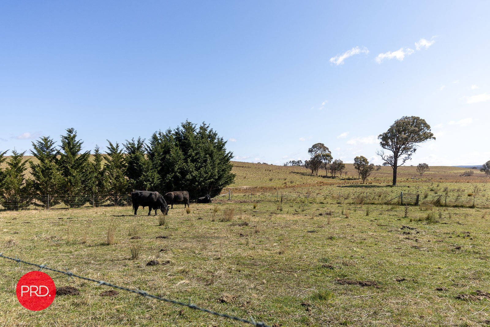 79 Hadlow Drive BYWONG 20