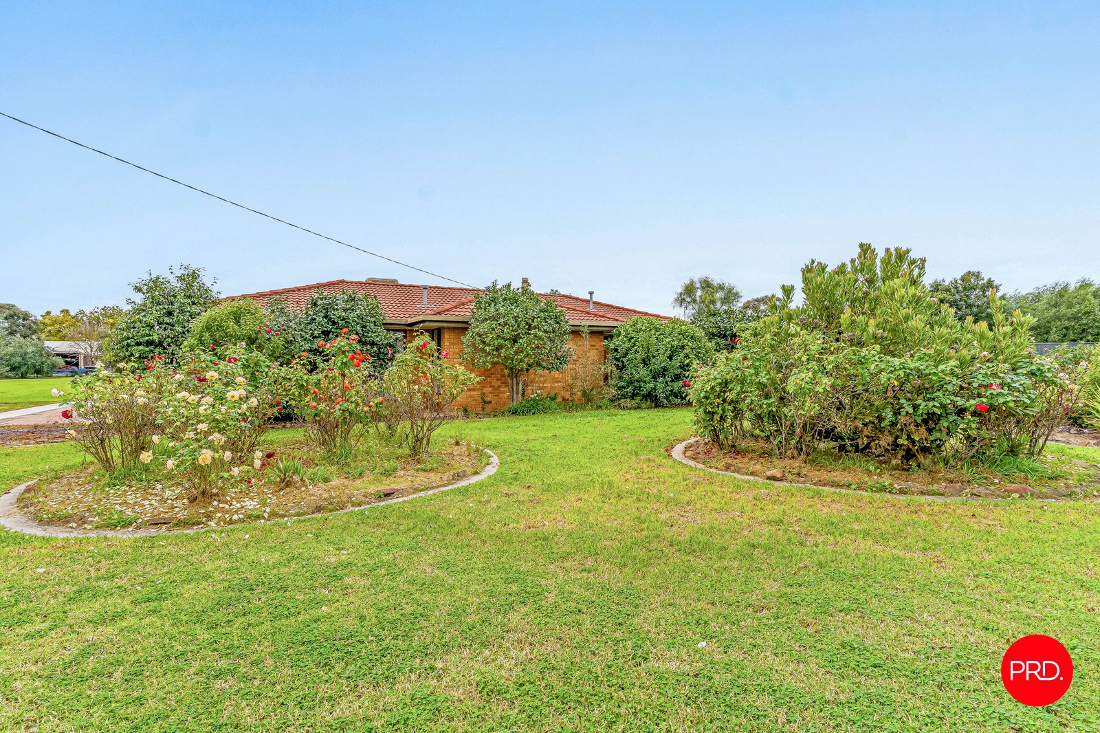 79 Ironstone Road EPSOM 16