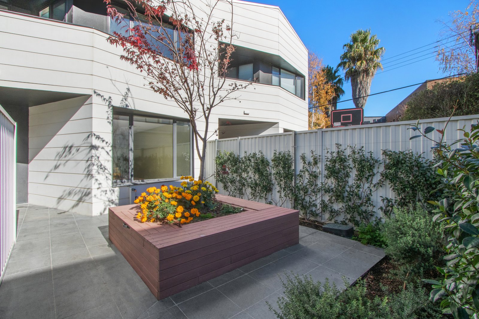 79 Macleay Street TURNER 5