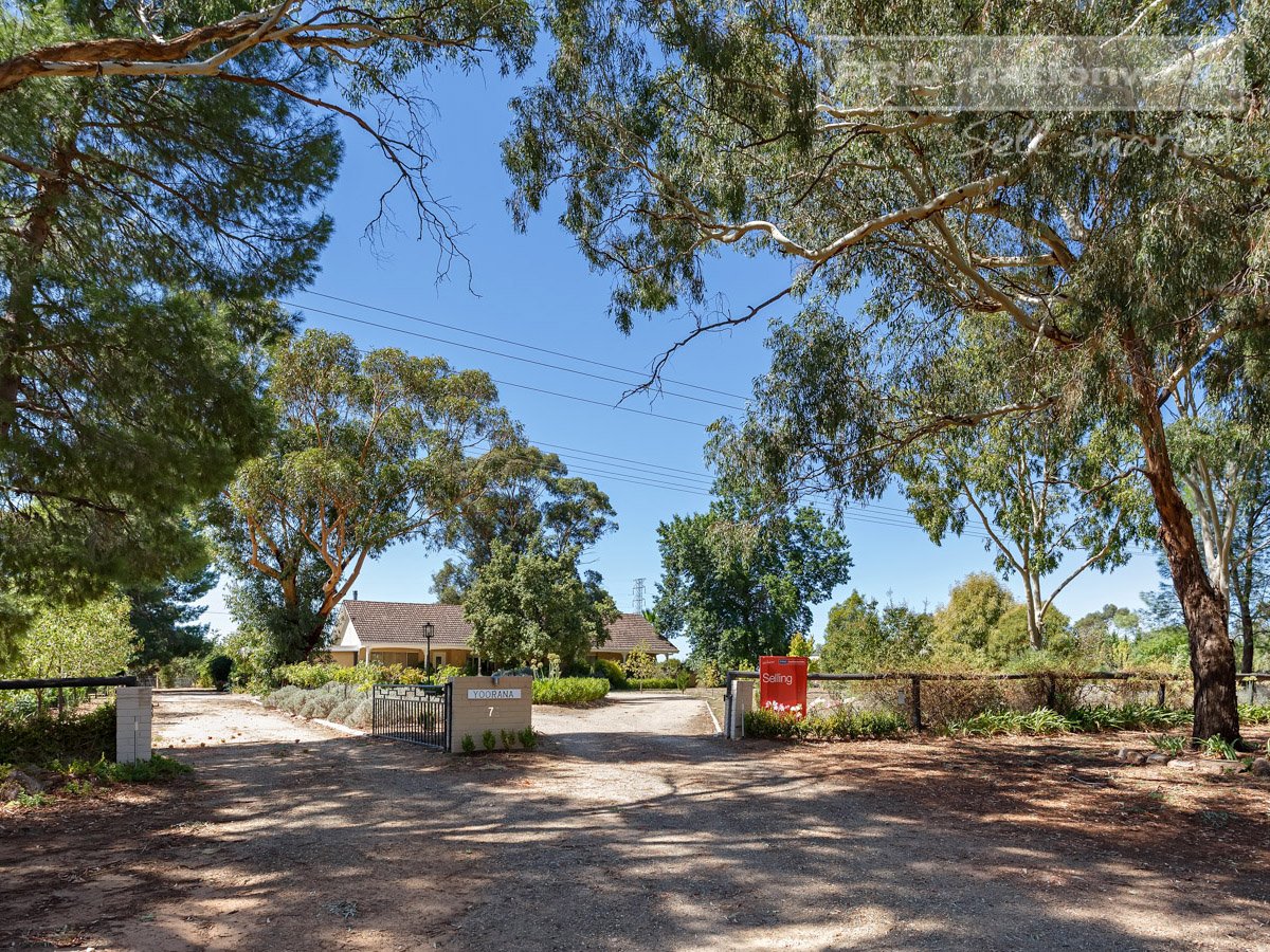 79 Mitchell Road LAKE ALBERT 1