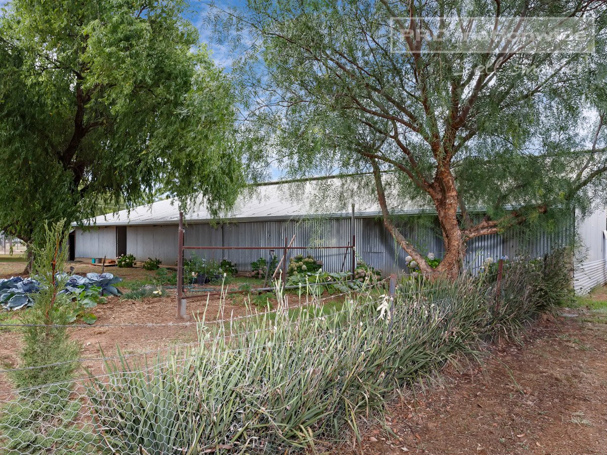 79 Mitchell Road LAKE ALBERT 4