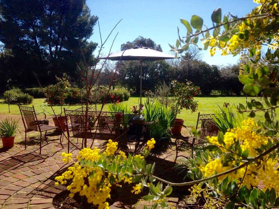 79 Mitchell Road LAKE ALBERT 7
