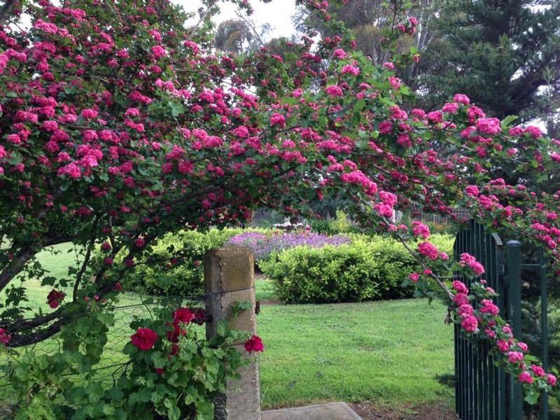 79 Mitchell Road LAKE ALBERT 8