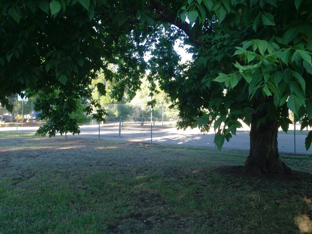 79 Mitchell Road LAKE ALBERT 9