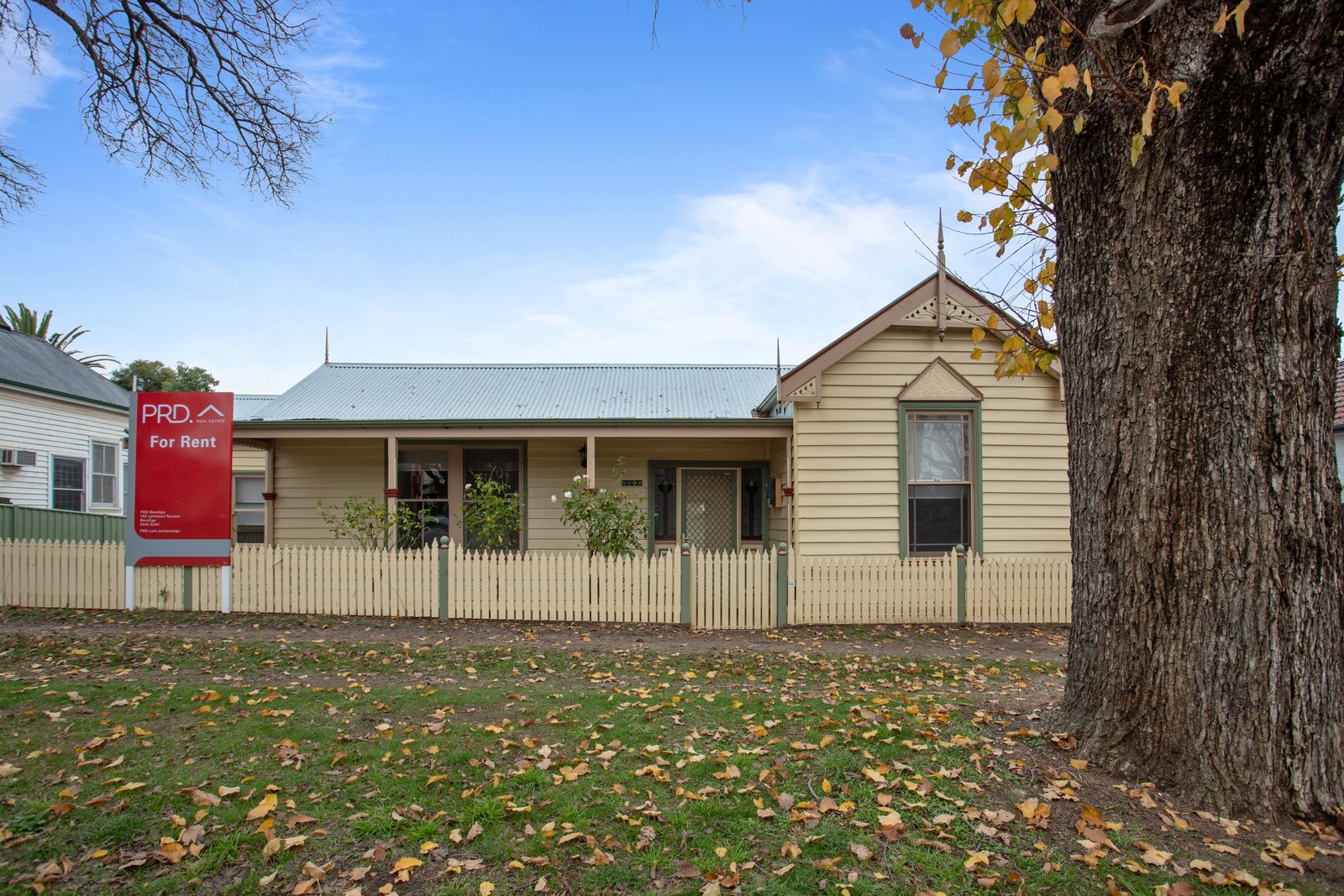 79 Mundy Street BENDIGO 1