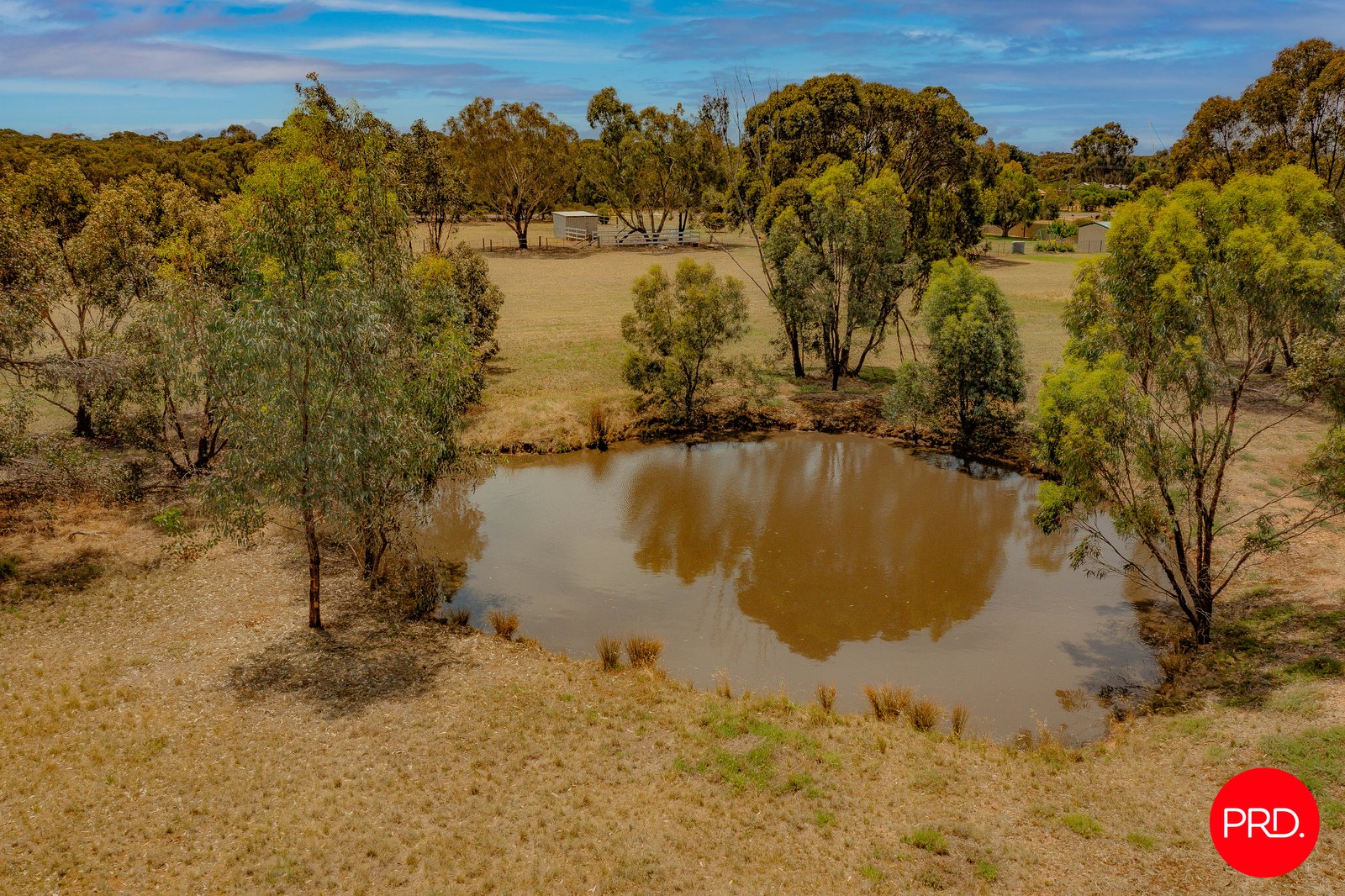79 Verdon Street INGLEWOOD 3