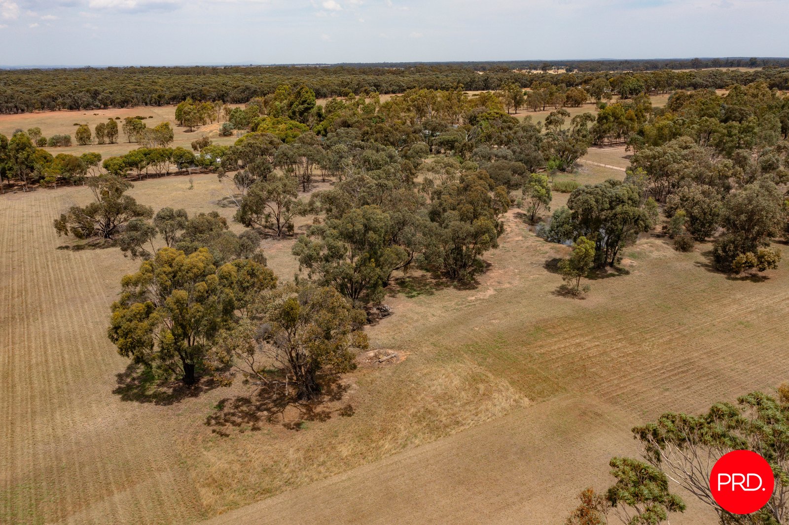 79 Verdon Street INGLEWOOD 23