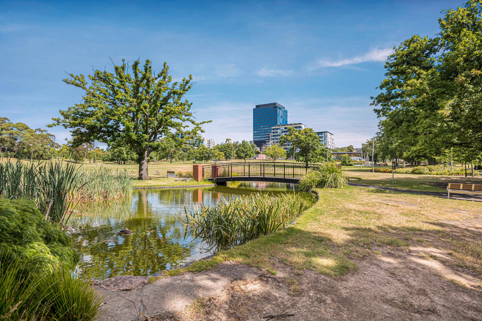 Real Estate and Property in 7/91 Thames Street, Box Hill, VIC