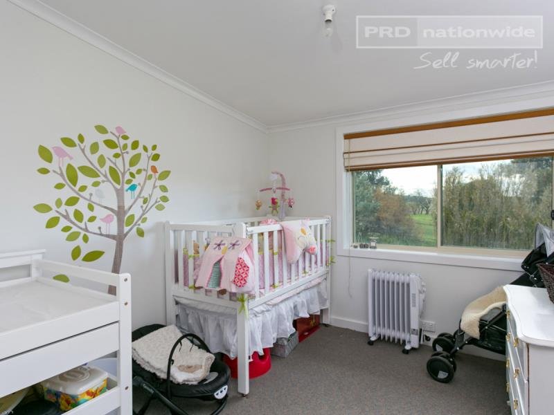 793 Livingstone Gully Road BIG SPRINGS 6