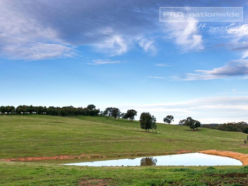 793 Livingstone Gully Road BIG SPRINGS 9