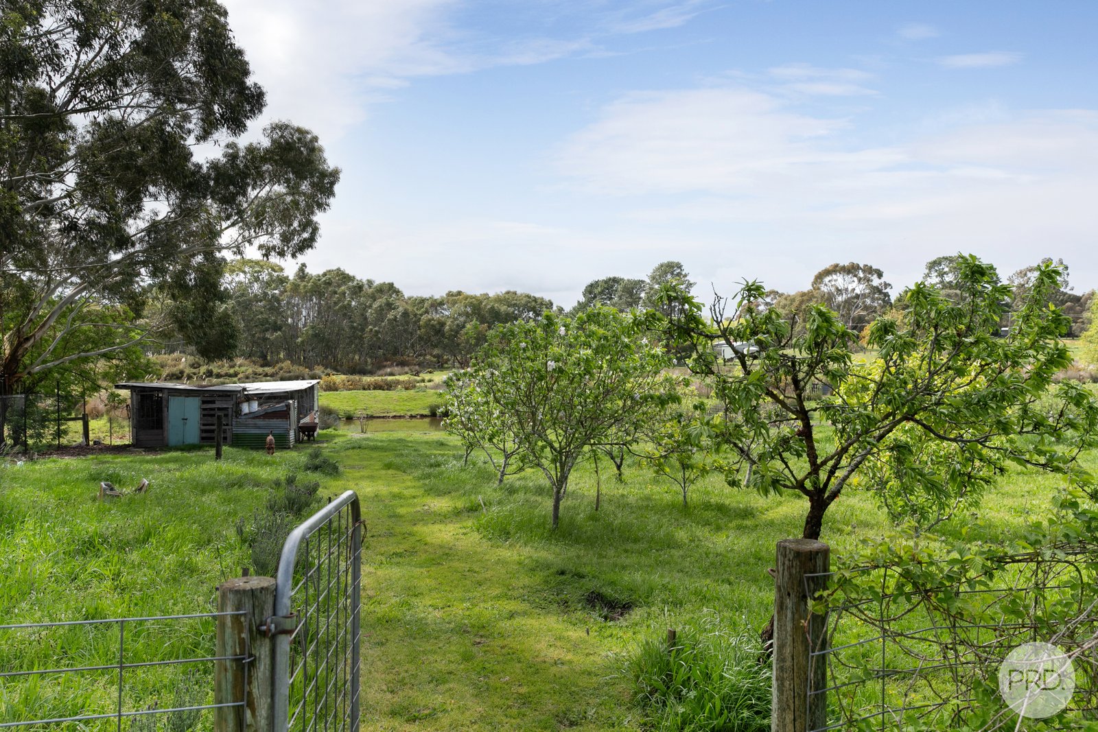 796 Linton Carngham Road SNAKE VALLEY 11