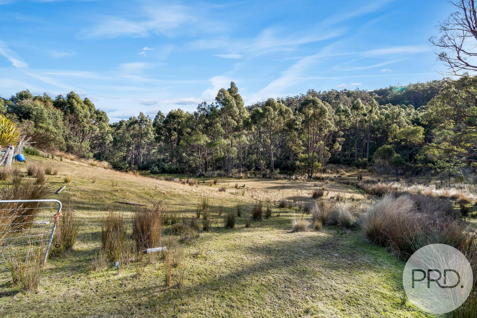 797 East Bagdad Road BAGDAD 23