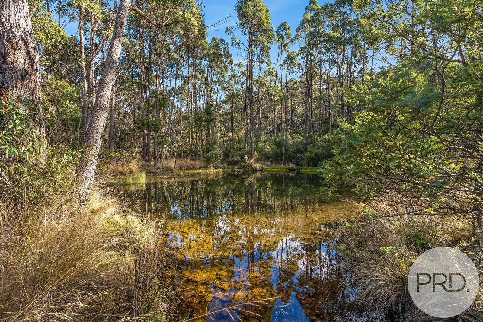 797 East Bagdad Road BAGDAD 25