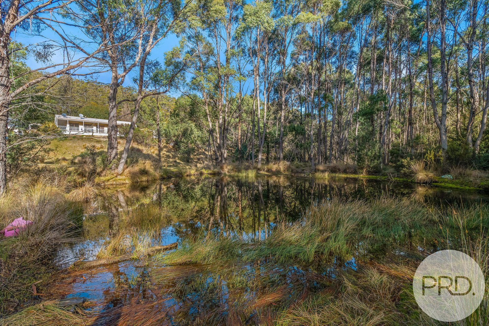 797 East Bagdad Road BAGDAD 26