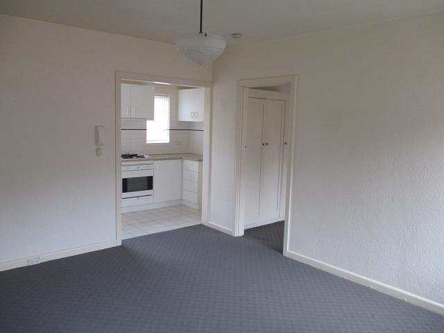 Gallery: 7/98 Park Street