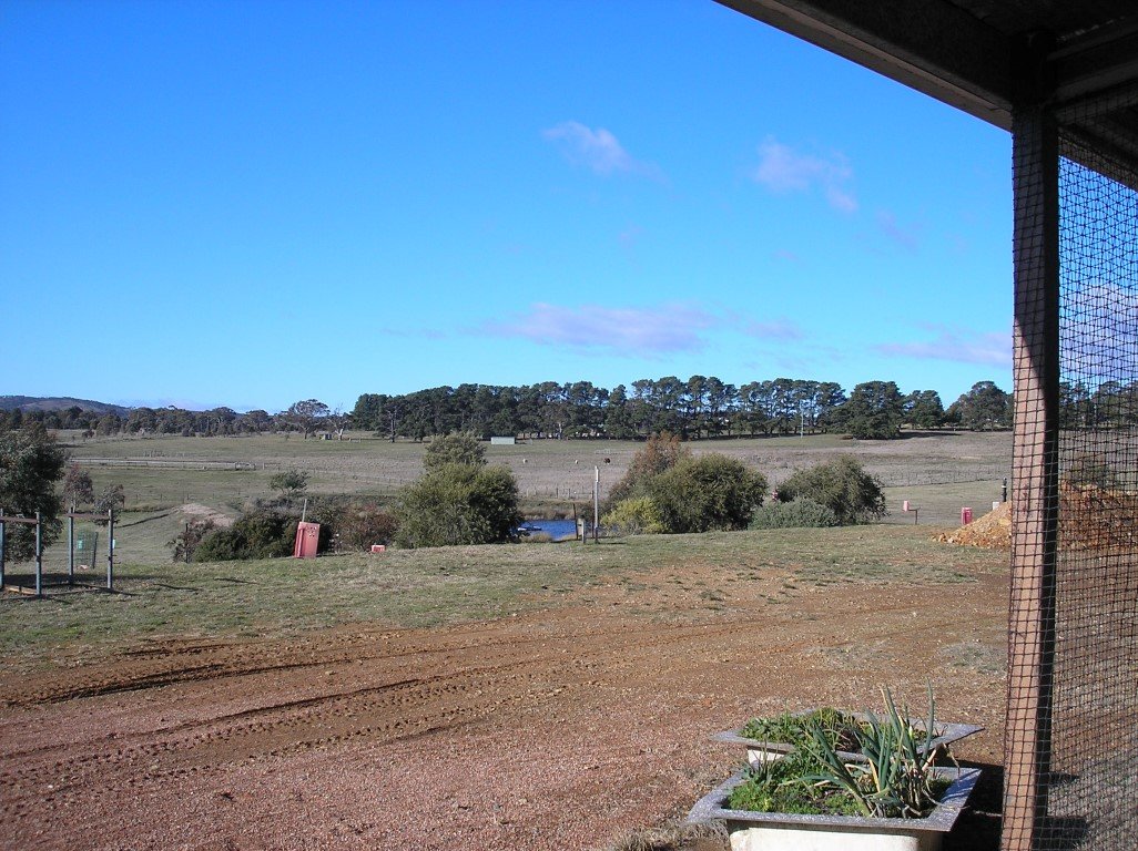 79A Millynn Rd  BYWONG 11