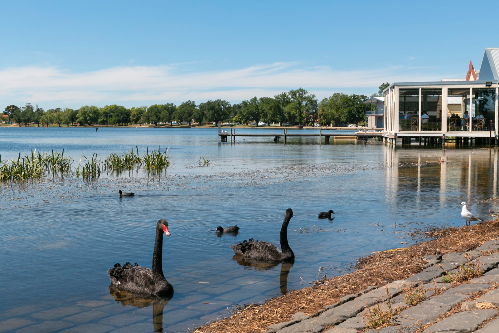 7A Lexton Street LAKE WENDOUREE 11