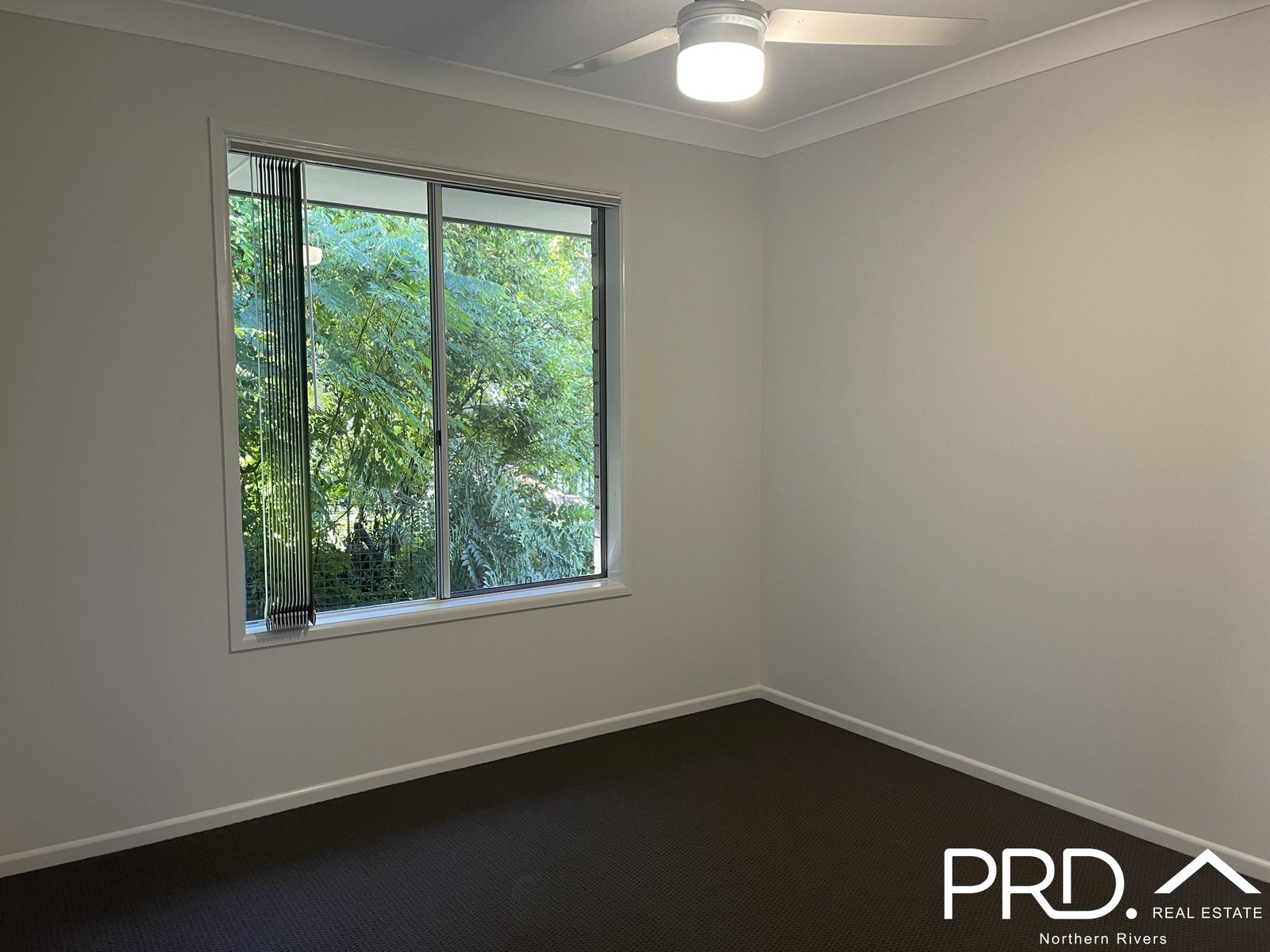 7b Clarence Street CASINO 6