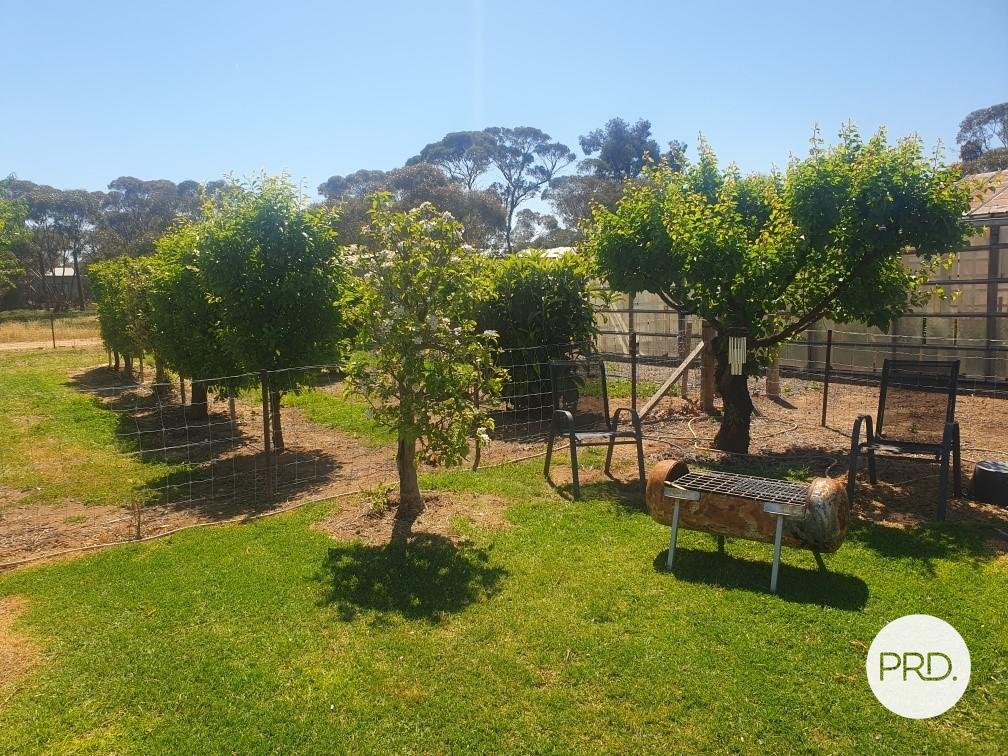8-10 Coghill Street MANANGATANG 14