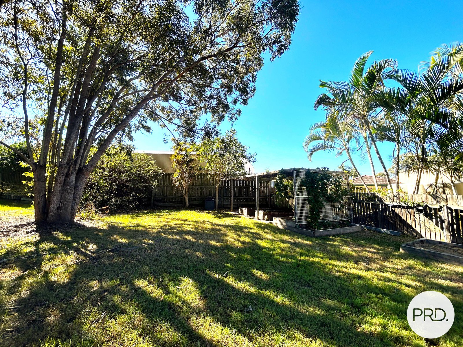 8 Andrew Court BOYNE ISLAND 29