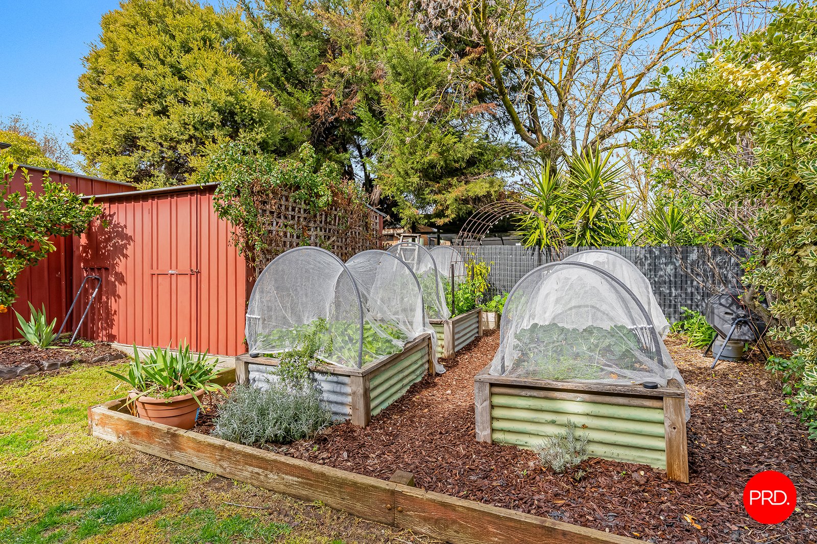 8 Archer Street KANGAROO FLAT 14