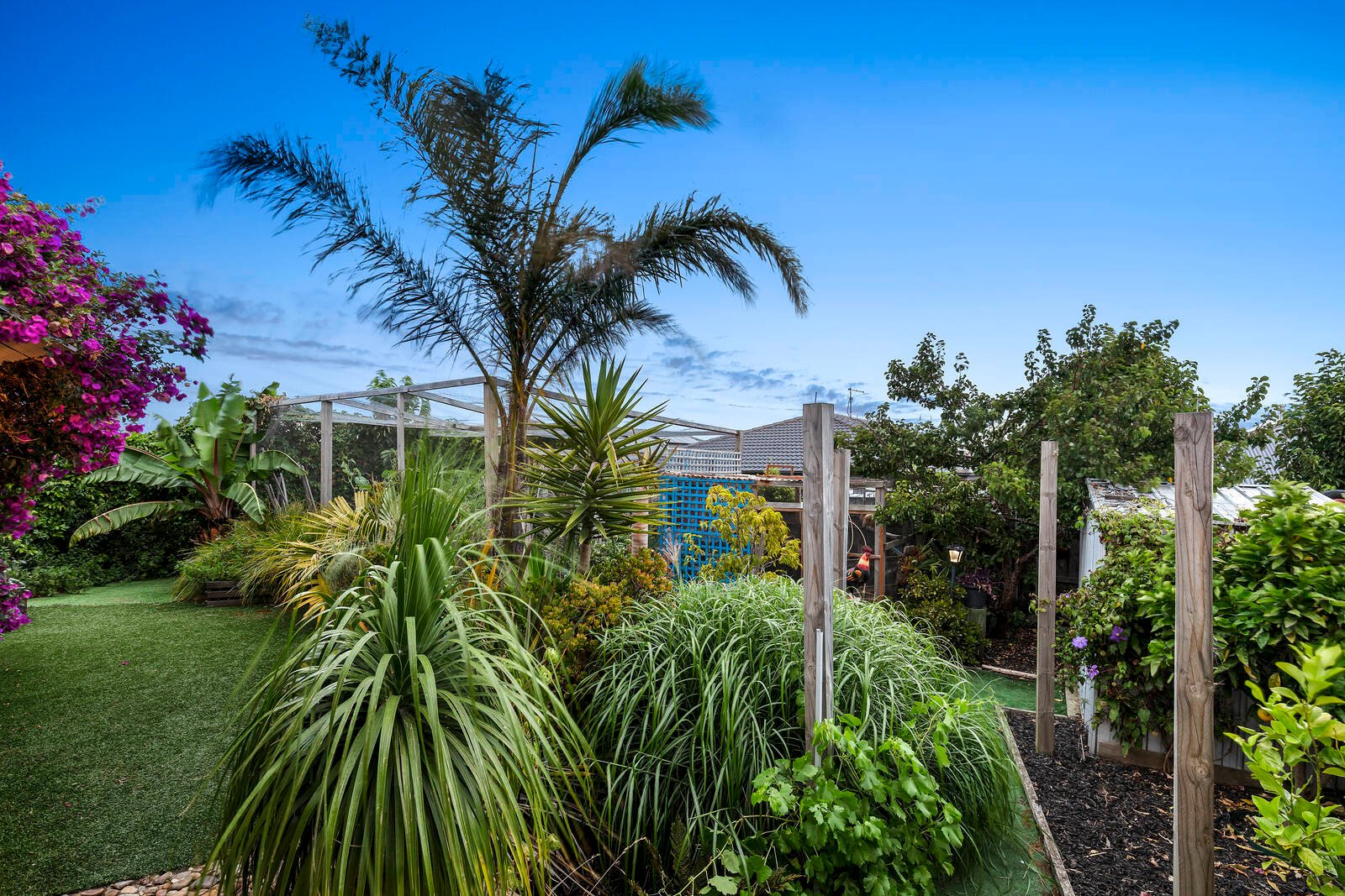 Real Estate and Property in 8 Barney Grove, Leopold, VIC