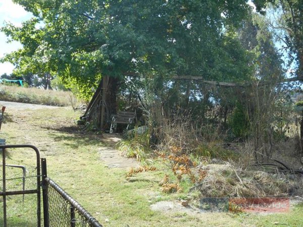 8 Batlow Avenue BATLOW 17