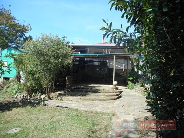 8 Batlow Avenue BATLOW 25