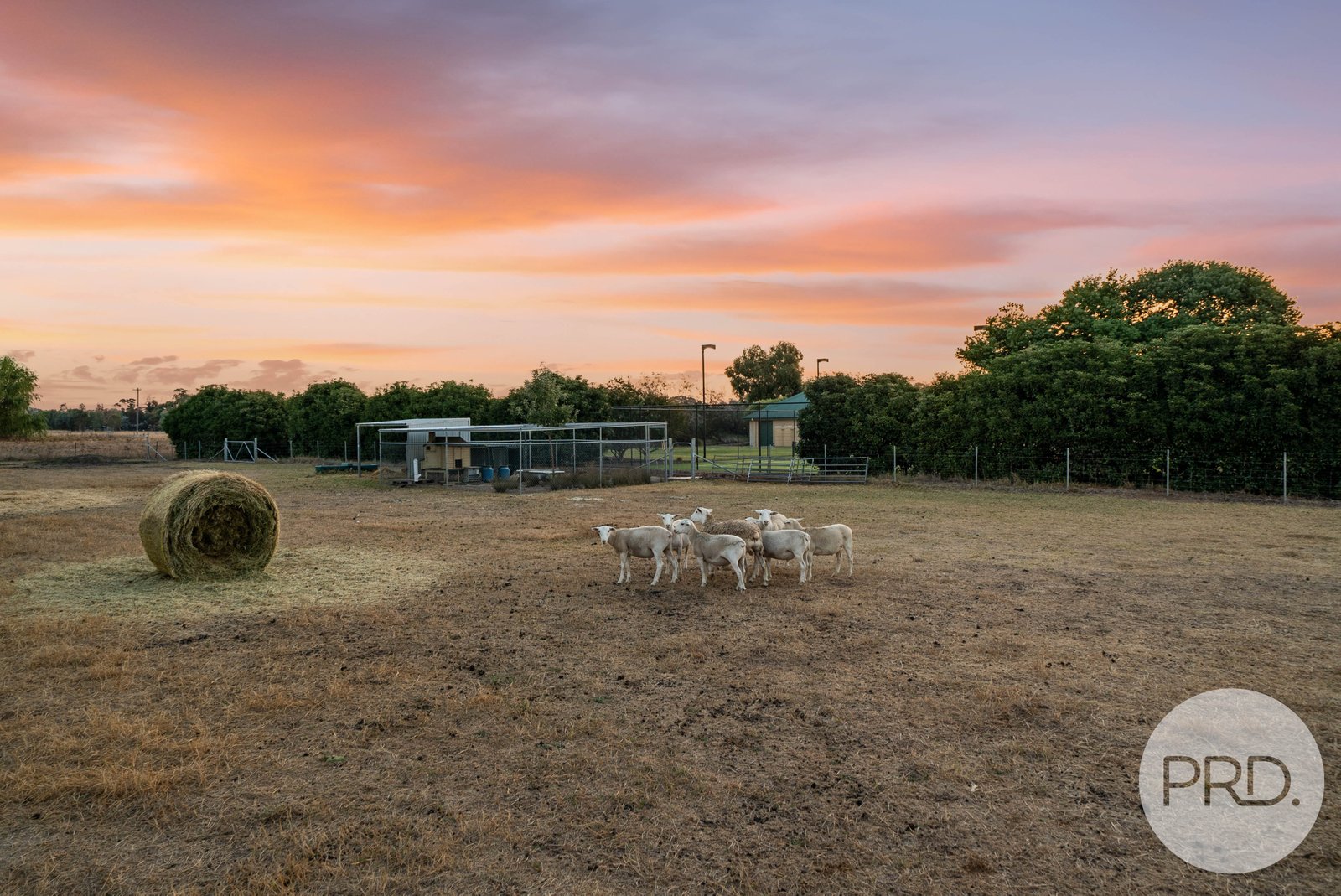 8 Bell Gum Place LAKE ALBERT 31