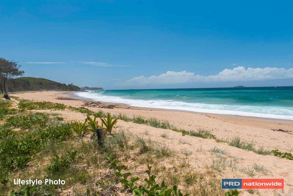 8 Bellevue Drive KORORA 18