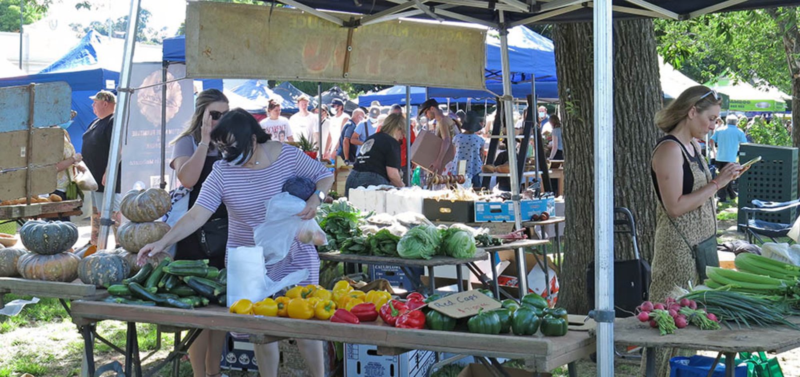 Real Estate and Property in 8 Birdie Way, Gisborne, VIC