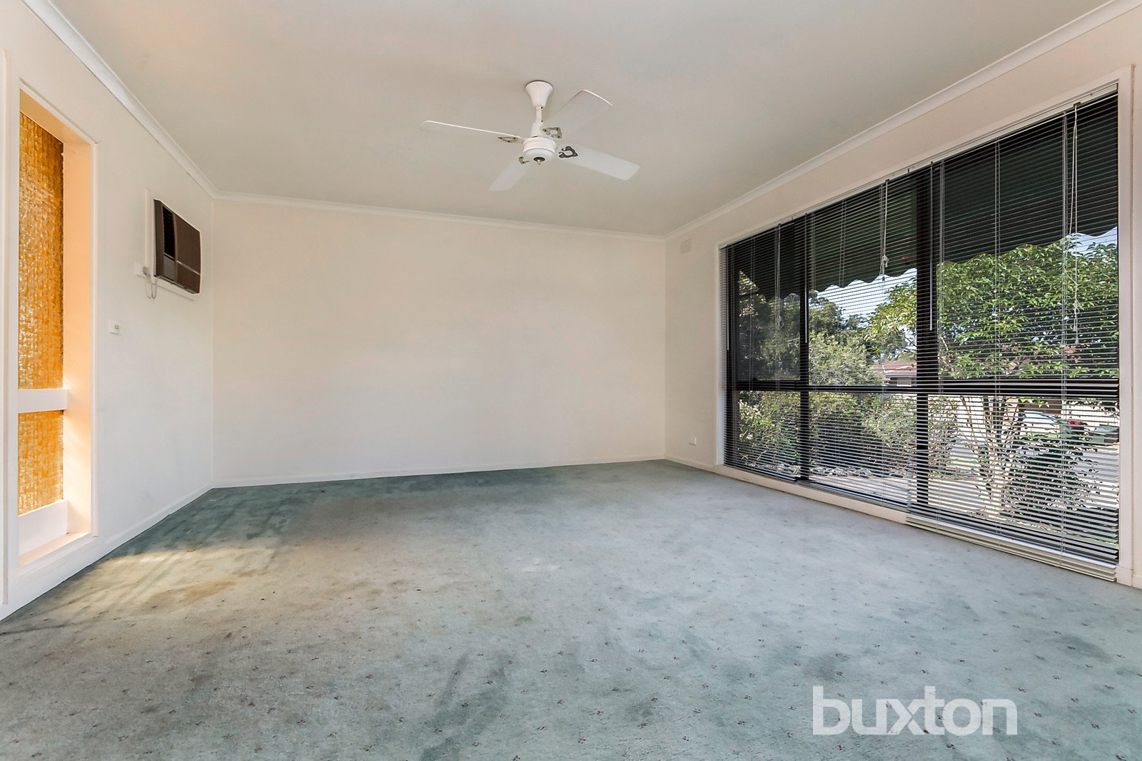 Gallery: 8 Birkenhead Drive