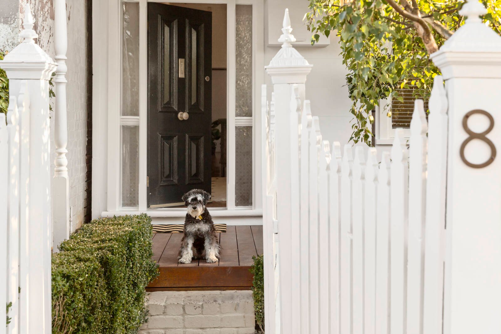 Real Estate and Property in 8 Broomfield Road, Hawthorn East, VIC