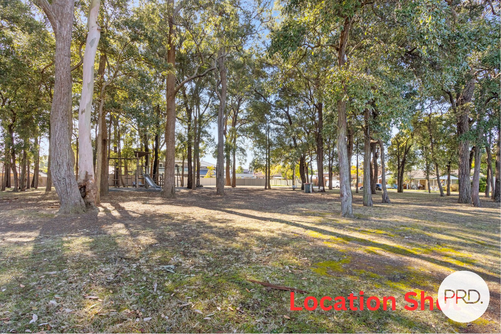 8 Caledonia Crescent PEAKHURST 5