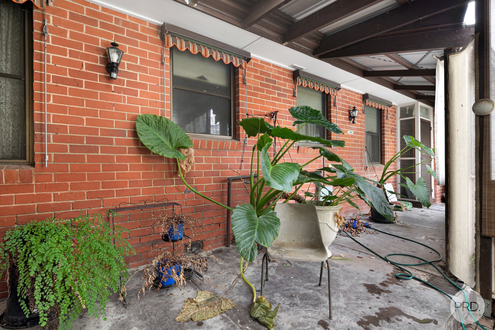 8 Callow Street GOLDEN POINT 8