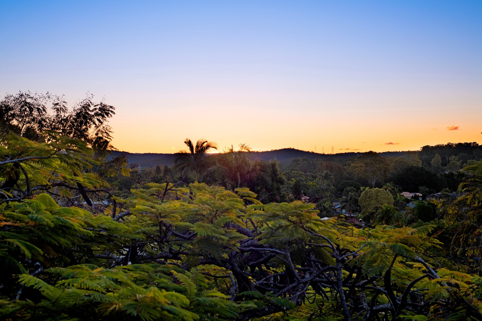 8 Cameron Court ASHMORE 13