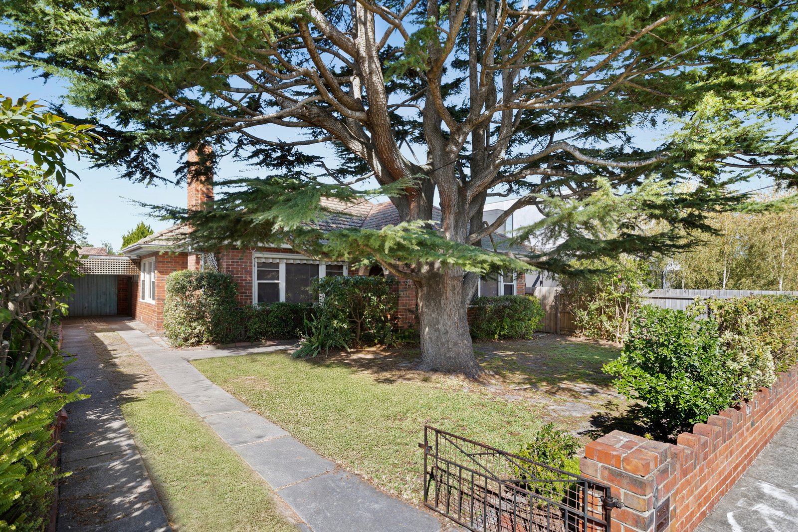 Gallery: 8 Carolyn Street