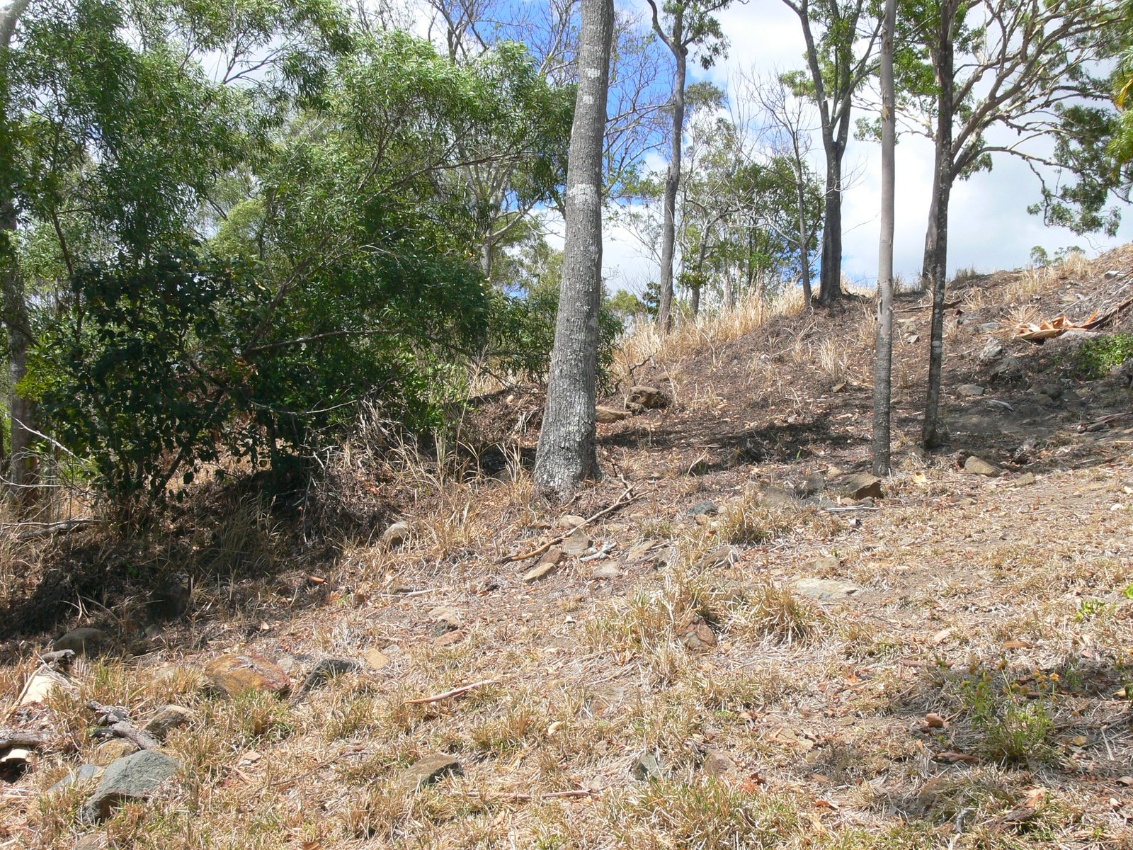 8 Dixon Place CANNONVALE 4