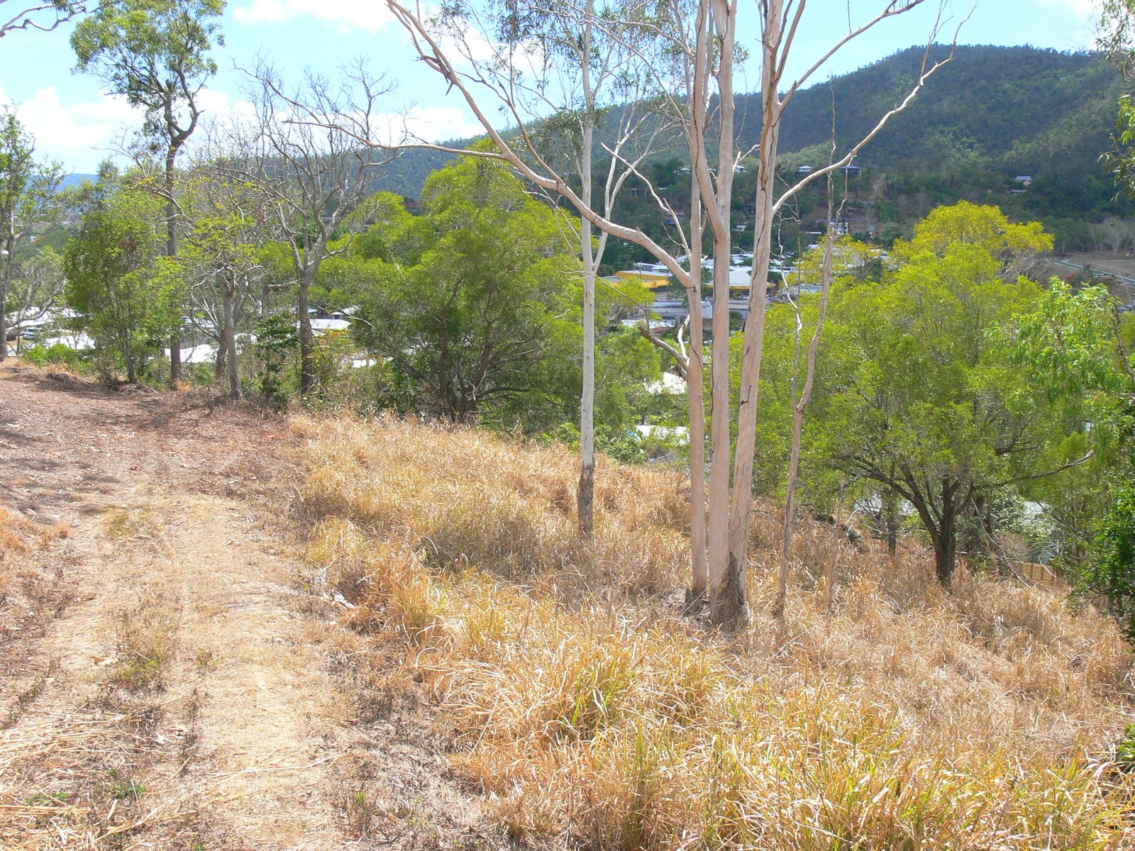8 Dixon Place CANNONVALE 7