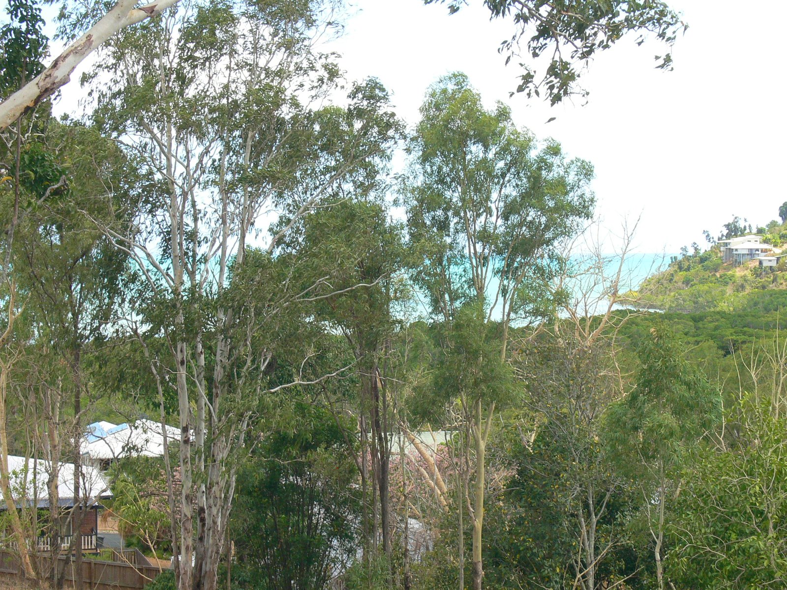 8 Dixon Place CANNONVALE 9