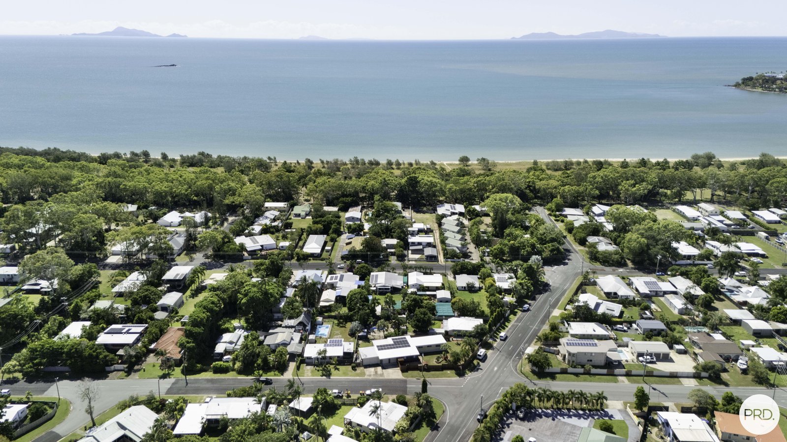 8 Downie Avenue BUCASIA 24