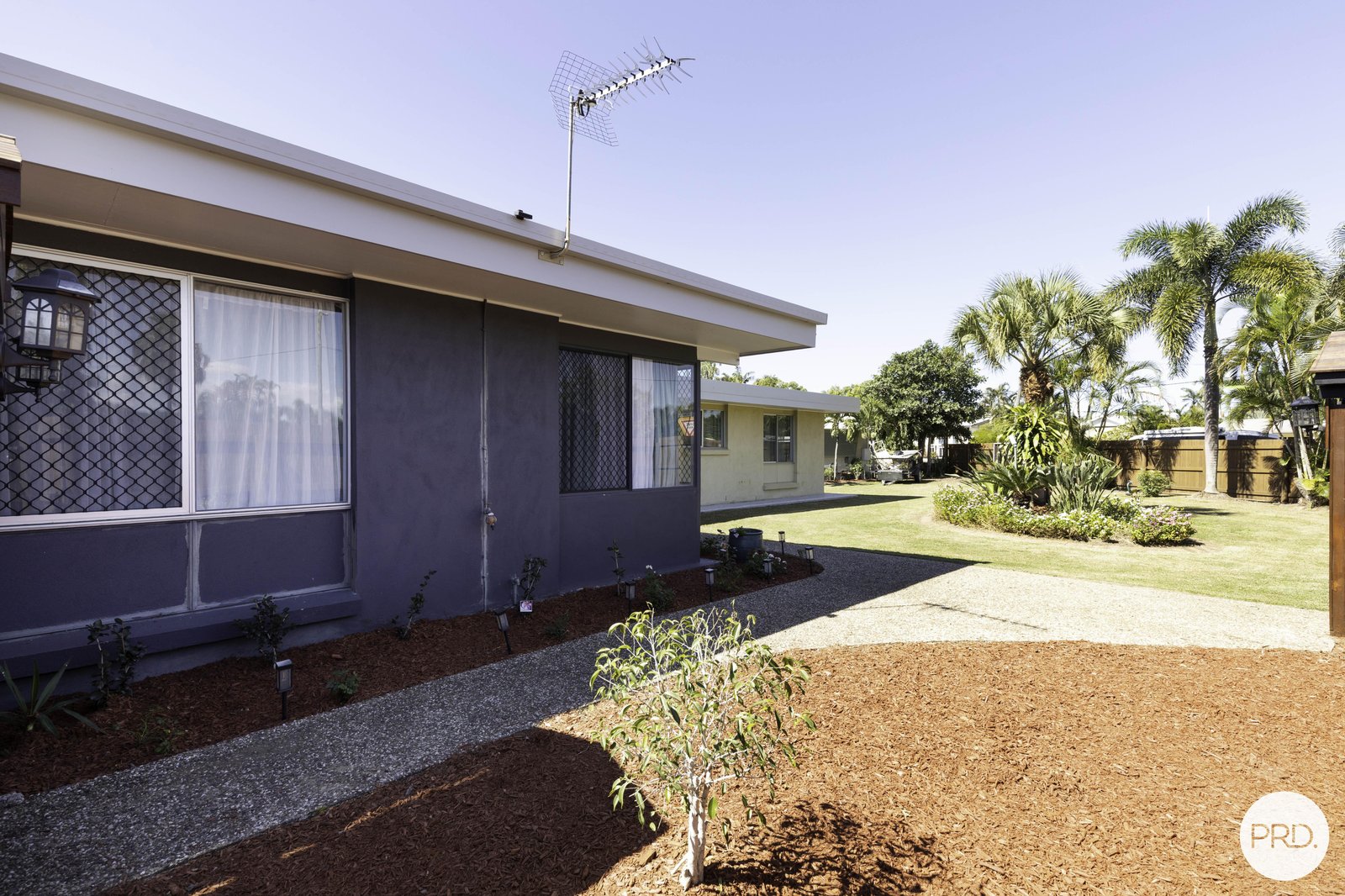 8 Downie Avenue BUCASIA 20