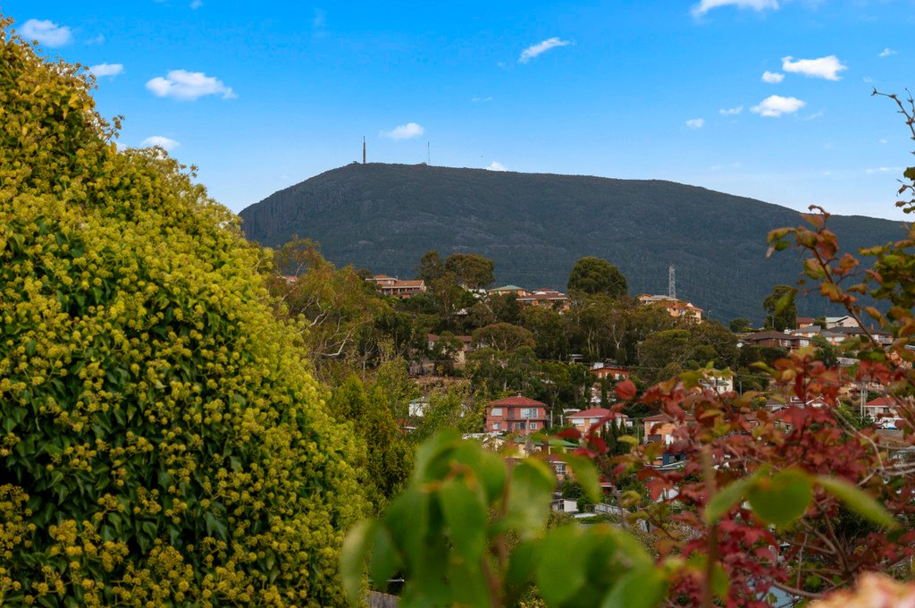 8 Eleventh Avenue WEST MOONAH 17