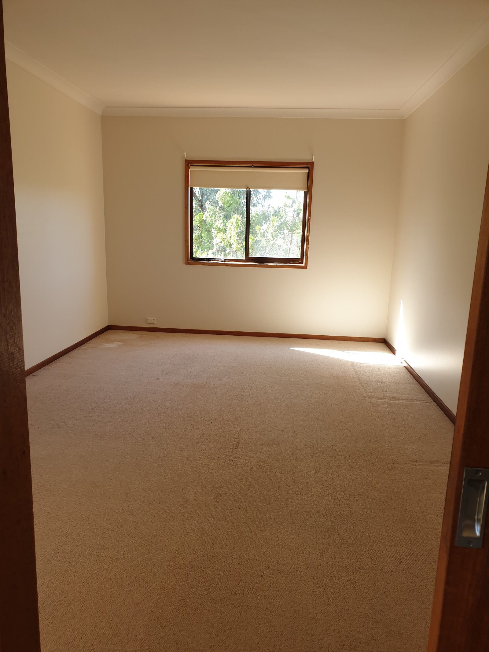 8 Elphick Street TUMUT 7