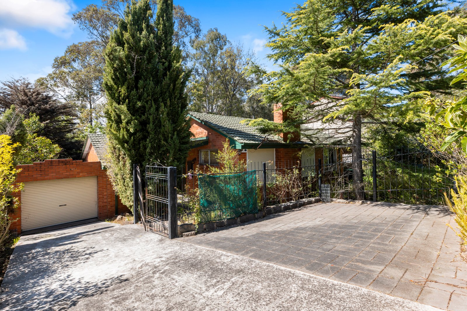 Gallery: 8 Falconer Street