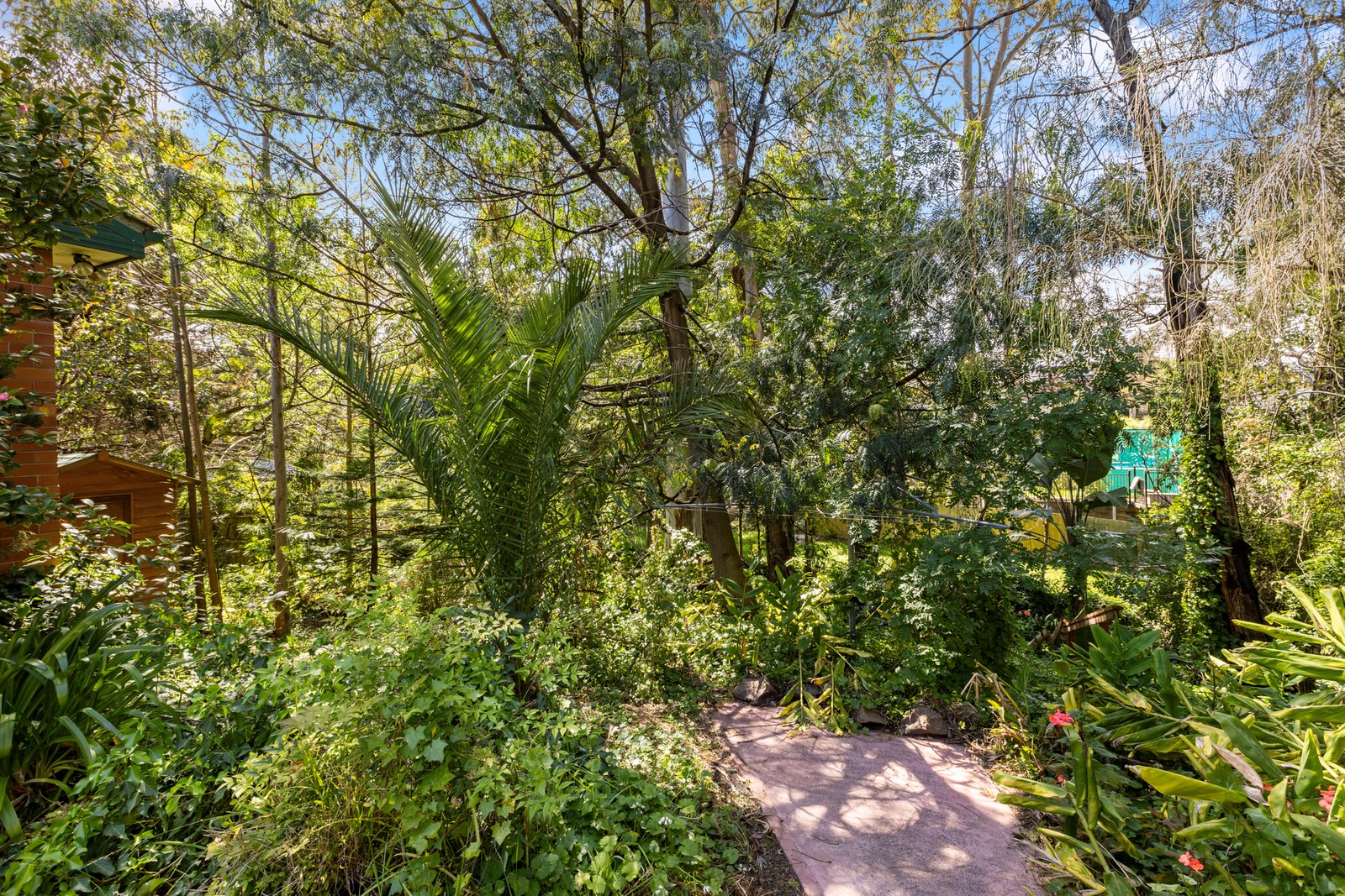 Gallery: 8 Falconer Street