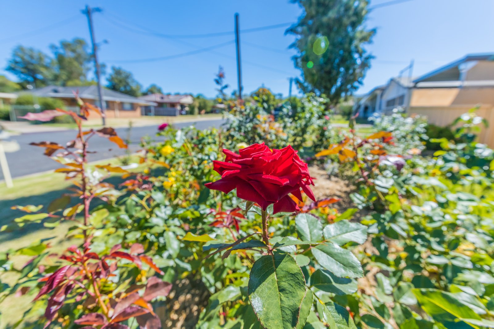 8 Fisher Road TAMWORTH 3