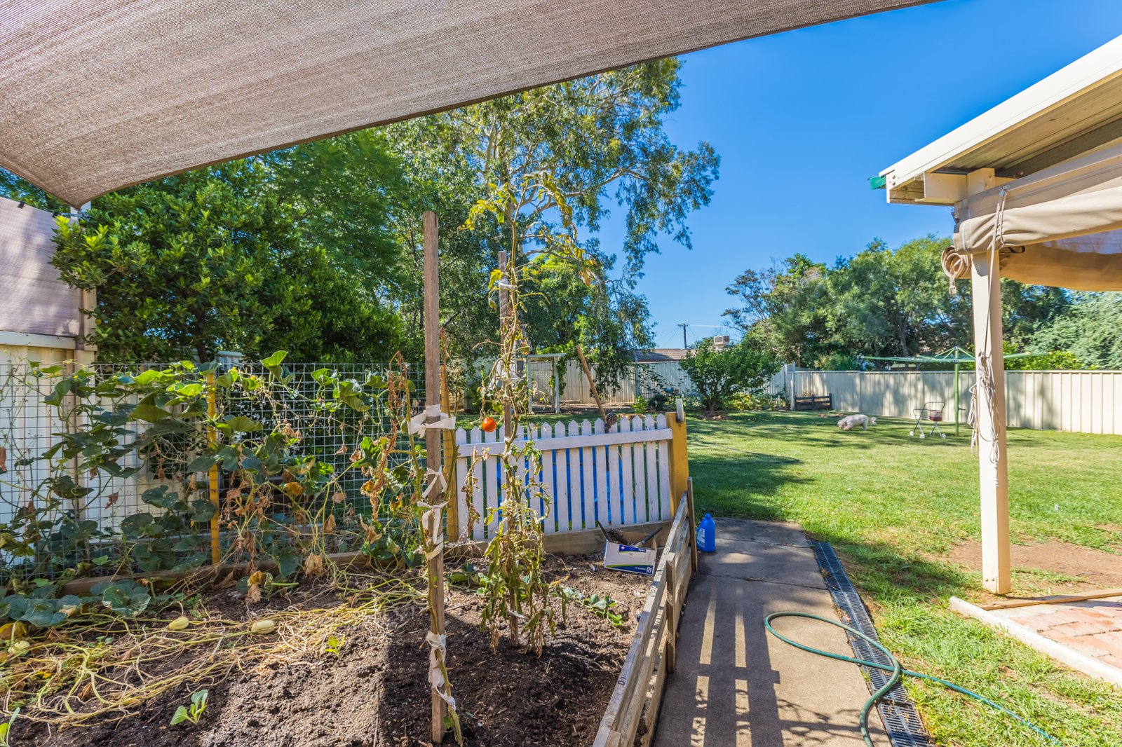 8 Fisher Road TAMWORTH 14
