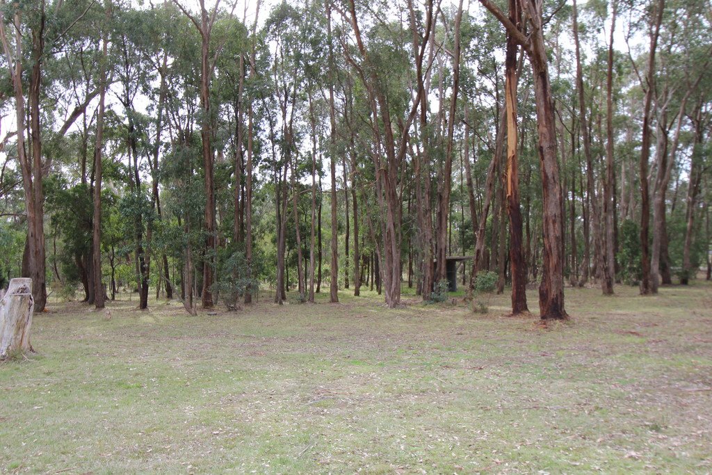 8 Forest Court ENFIELD 14